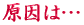 ご出身は