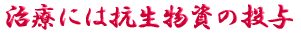 ご出身は