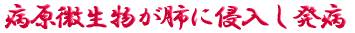 ご出身は