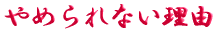 ご出身は