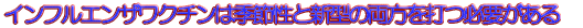 ߋ̐V^CtGUs̎