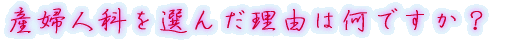 出身はどちらですか?