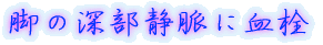 脚の深部静脈に血栓